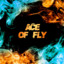 †Ace_Of_Fly†