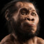 AncientMonkey