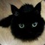 Blackcloak