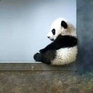 速8