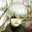 Sifr avatar
