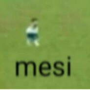 mesi
