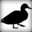 A Big Duck
