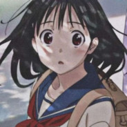 我的房东没有猫