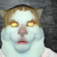 Jack Mehof