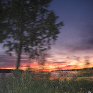 LIVE RN ON TWITCH, CROWLATION