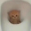 Ad