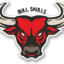 BULL SKULL