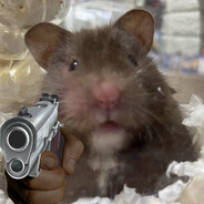 The Bay Harbor Hampter