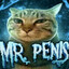 mr penis
