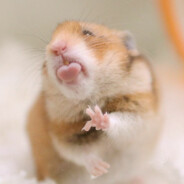 ЯДЕРНЫЙ ГАМОСЕК