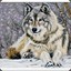 SnowWolf[37Rus]