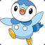 Piplup