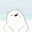 •Ice™Bear•