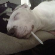 Cody B