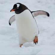 SEN