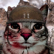 MayrshalZhukov - steam id 76561199245642443