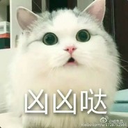 大雨不是一个帅比