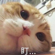 她们都说我好帅