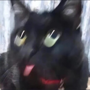 冰汤圆不加花生碎