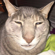 💏 - steam id 76561197977657649