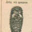 Шишка