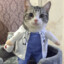 Dr.Meow