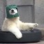 BucketBear
