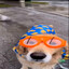 fastqw