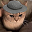 scoobert THE cat
