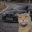 PhysX
