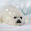 Avatar of player P2P I cutie
