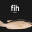 fih