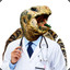 Dr. Turtles
