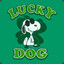 Lucky_Doggie