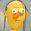 DHMIS Roy