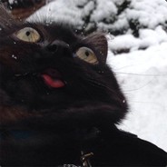 KatZ - steam id 76561197971630989