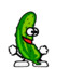 Pickle