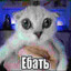 Айдар Расписной