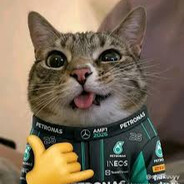 Bob2