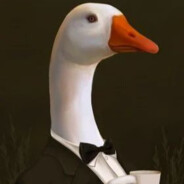 Michael duck