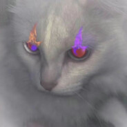 黑丝吊带包臀裙