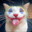 ClownCat avatar