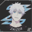 ZAIZER