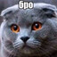 Лудоклоп