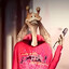 jar jar blinkers