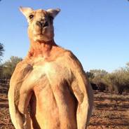 ✪ MATImonster . :v