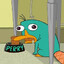 Perry the Platypus