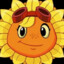 Solar Flare
