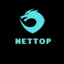 NettoP